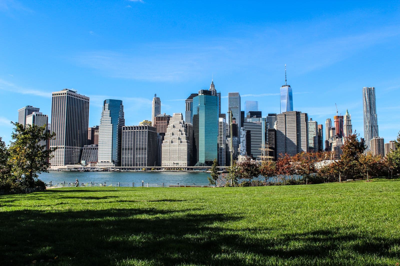 Manhattan skyline viewed from a park in Brooklyn